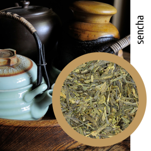 Sencha