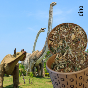 Dino thee